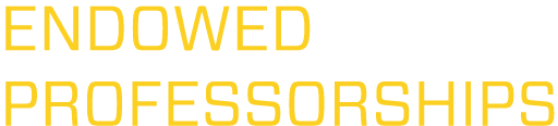 ENDOWED PROFESSORSHIPS