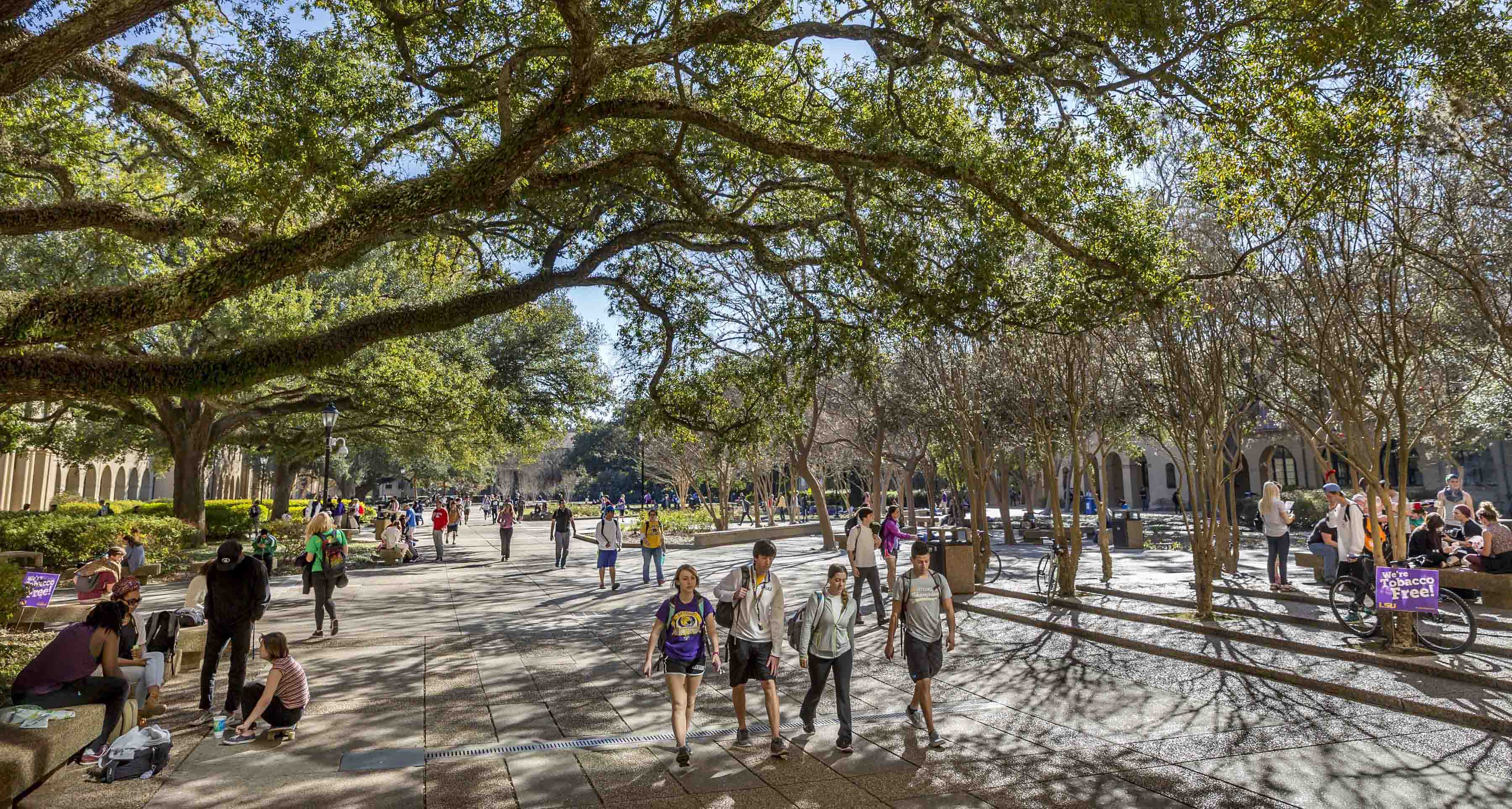 students walking in quad