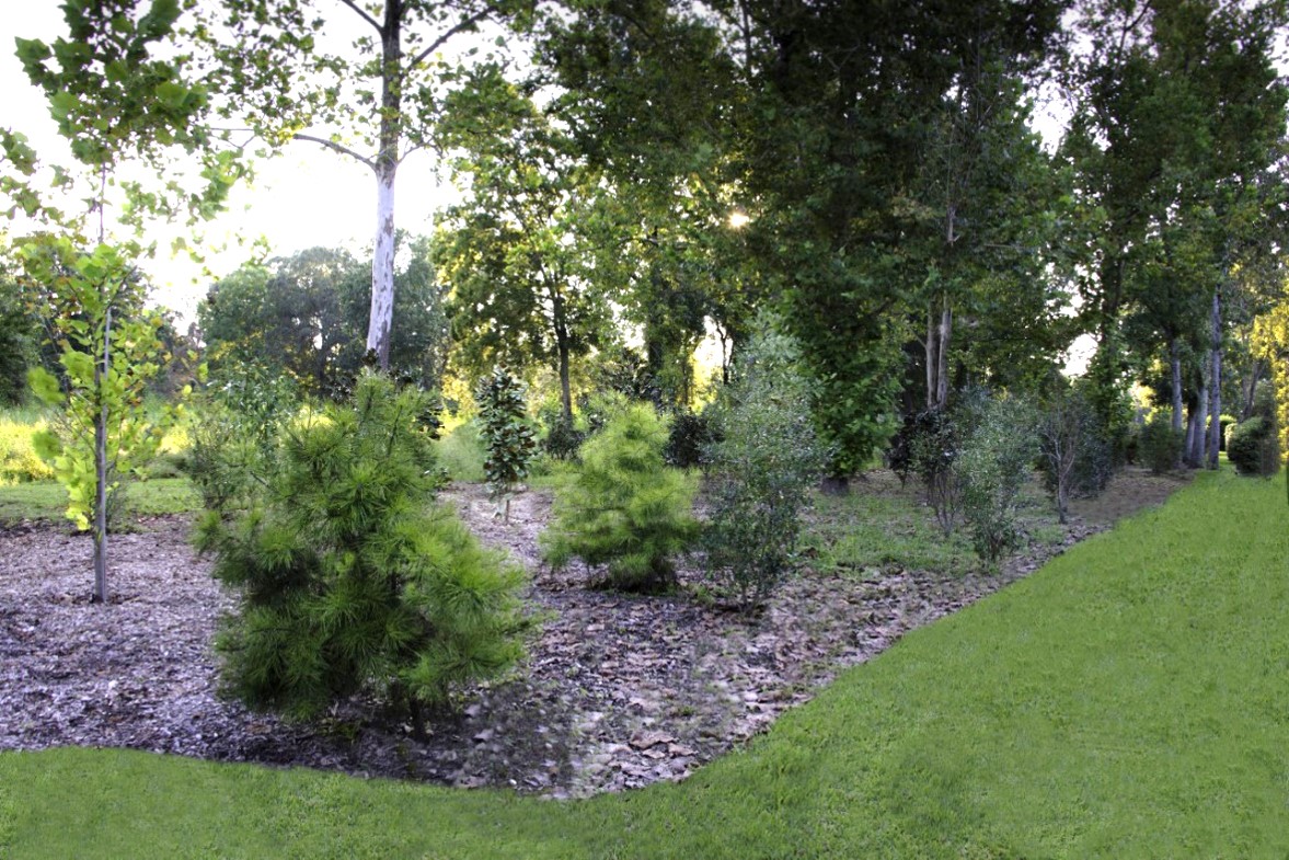 hedgerow planting of shrubs