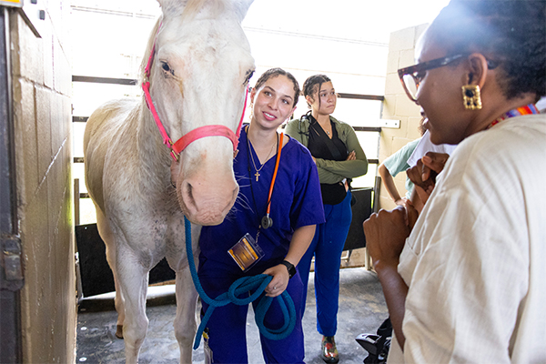 Insights students with horse